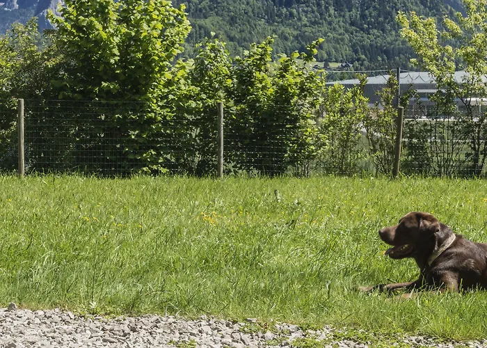 G'sund & Wasnerin - Adults Only فندق